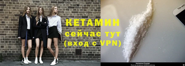 прущие грибы Белокуриха