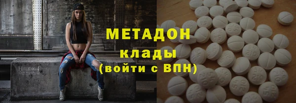 прущие грибы Белокуриха