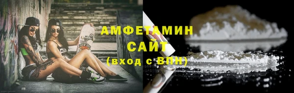 прущие грибы Белокуриха