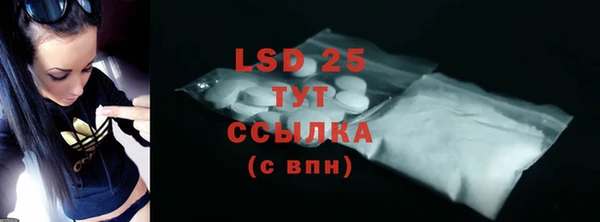 гидра Богданович