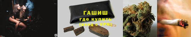 бошки Бородино