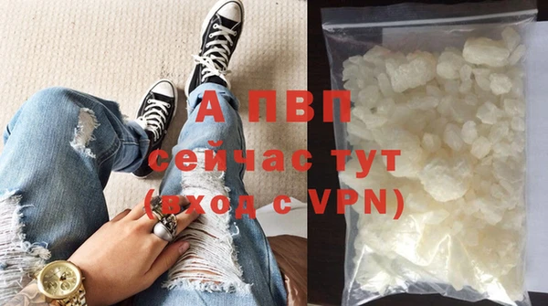 прущие грибы Белокуриха