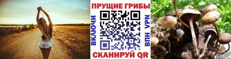 Псилоцибиновые грибы прущие грибы  Кизилюрт 
